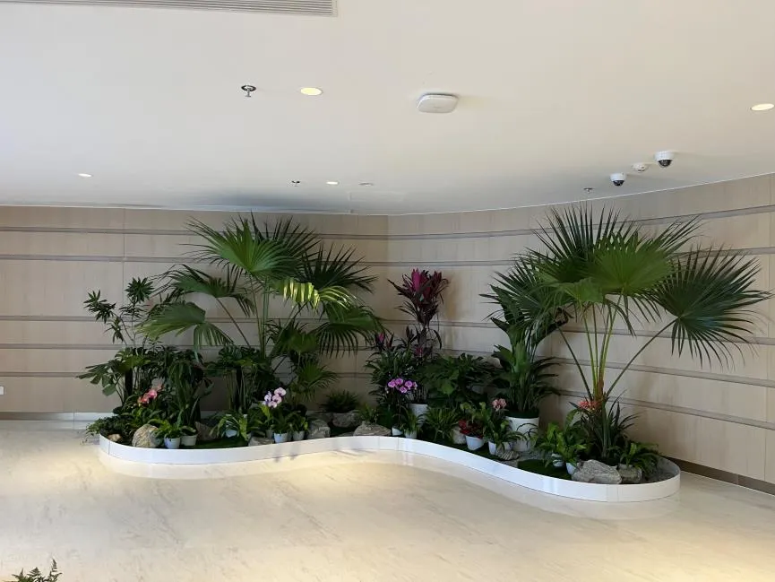 宁波北仑花木出租哪家好？专业团队为你打造多彩空间